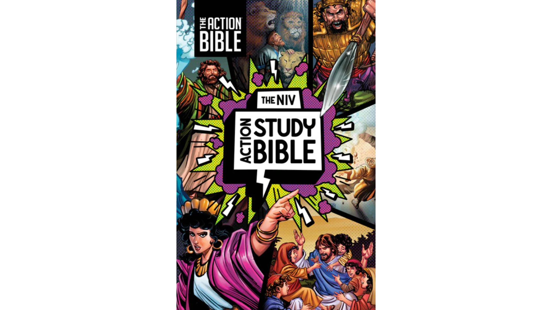 Cover of The NIV Action Study Bible featuring colorful comic-style illustrations by Sergio Cariello, including Bible scenes with lions, warriors, and Jesus teaching children.